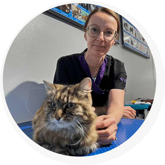 Mittens Grooming owner Greta with a cat after a successful grooming session in About us part of the page